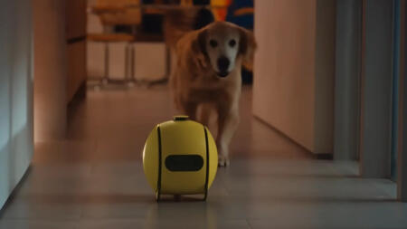Samsungs KI-Kugelroboter Ballie verzögert sich wegen Identitätskrise wohl weiter