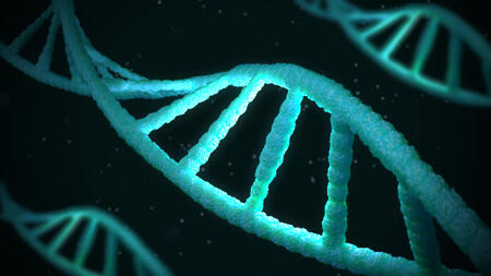 Mehr Präzision bei DNA-Manipulation: KI half bei der Entwicklung