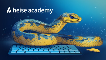 Python für Umsteiger – Einstieg in die KI-Sprache für Entwickler in 5 Sessions