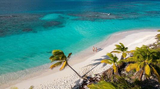 Über eine Million Top-Level-Domains .ai: Kein Ende des Geldsegens für Anguilla